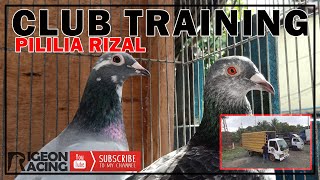 CLUB TRAINING PILILIA RIZAL  | PIGEON RACING