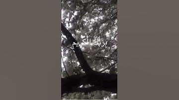 القران الكريم-سورة الإنفطار-ايه ٦-٧-للقارئ عبد الباسط عبد الصمد