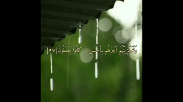 (من عمل صالحا من ذكر أو أنثى وهو مؤمن) _ القارئ عبدالرحمن مسعد | تلاوة هادئه