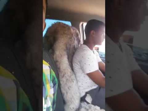 محمد النصري زمن الفجيعة المر