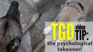 TGD Video Tip: The psychological takeover...