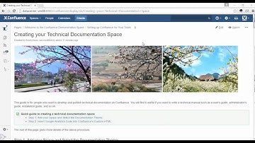 Page Assistant (delete attachments, comments)