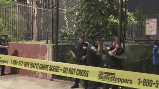 Girls, 9 and 11, shot in Brooklyn park; 2 gunmen wanted: NYPD