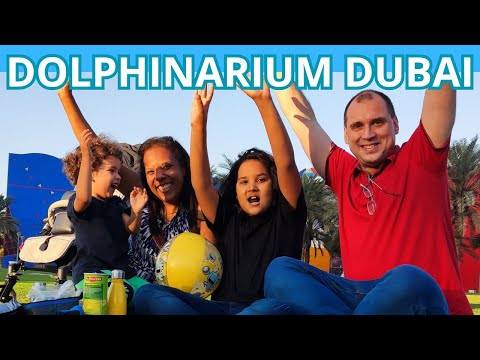 Uma tarde no Dubai Dolphinarium!