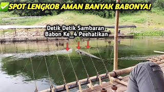 Perdana Strike Babon Bertubi-Tubi Di Spot Inispot Lengkob Yang Aman Banyak Babonya Rekomen