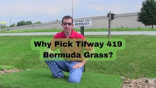 Why Pick Tifway 419 Bermudagrass Houston Grass South Why Pick Tifway 419 Bermudagrass Houston Grass South