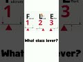 Types of Levers & How to Identify Them 🔧