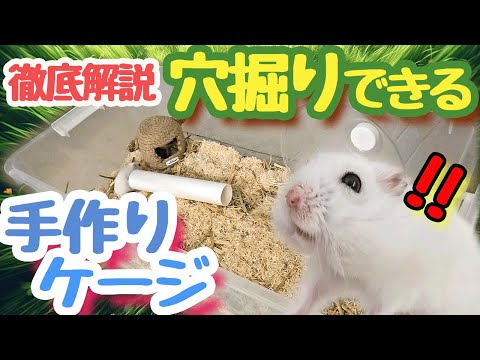 安価に海外の飼主が使っている様な潜れる特大ケージを作る方法 - YouTube