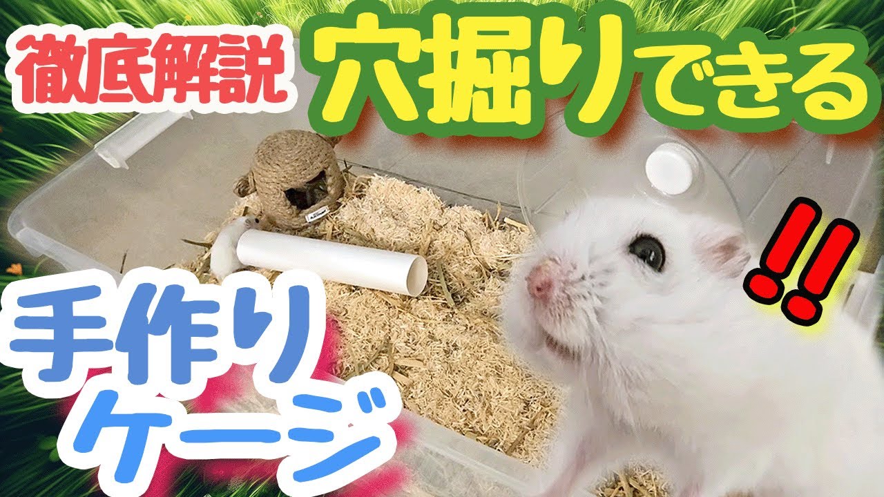 のんハムスターケージ 手作り さらば手作りハムケージ、いざ解体！ | じゃんがりハム日和