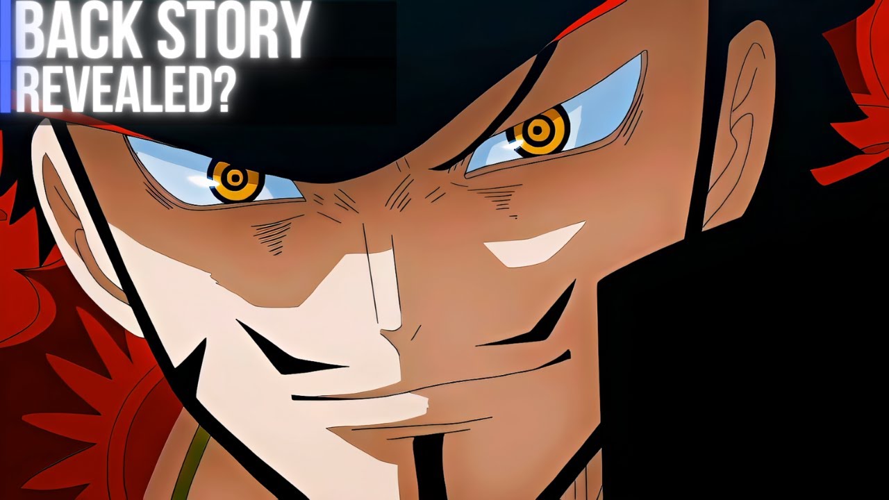 Hunter's Journey Why a Warlord Marine  | One Piece