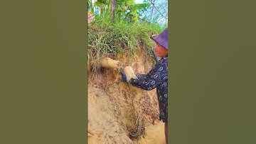 Blocked to Clear Unclogging and Clearing Drain Pipes #clogged #satisfying #unclog #shorts