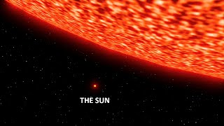 Sun vs Biggest Star Size Comparison | 3d Animation Comparison | Stars Real Scale Comparison Resimi