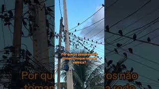 Resposta nos comentários! #eletricista #eletrica #eletricidade