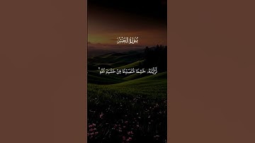القرآن الكريم 🫀🎧 #اكسبلور #المصحف #القران_الكريم #دويتو #قران #لايك #راحة_نفسية #حالات_واتس #duet