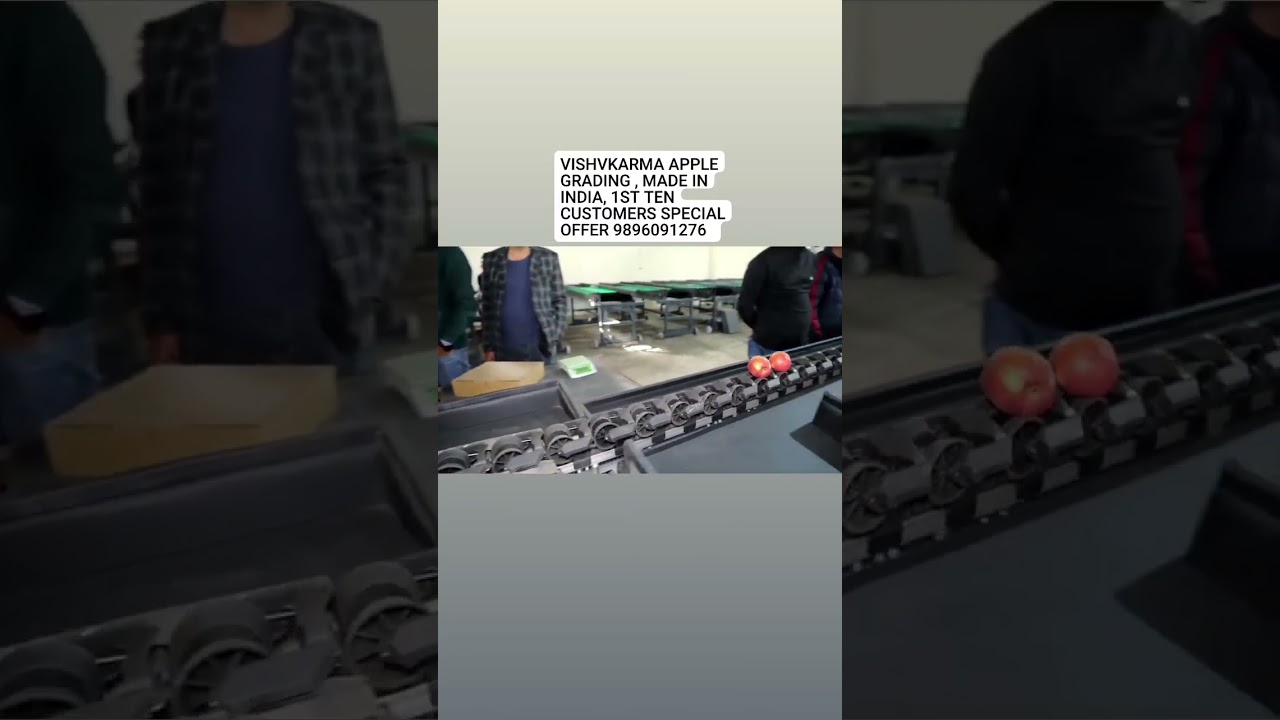 VISHVKARMA APPLE GRADING MACHINE 9896091276 