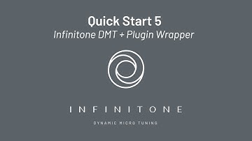 Infinitone DMT Quick Start 5 - Infinitone DMT + Plugin Wrapper (for Pro Tools, Live, etc)