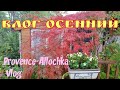 Франция/Осенние страсти /Страшный тарт, хоть и солнечный/provenceallochka vlog
