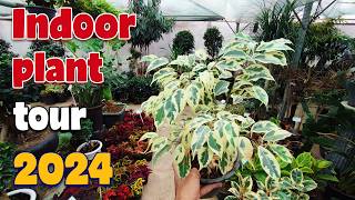 House plant tour 2024 | My favourite indoor plants collection in greenhouse