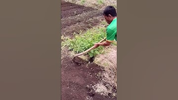 Satisfying! Land Weeding Tools – Banish Weeds Fast & Easy!