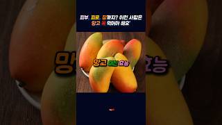 피부, 피로, 장까지? 이런 사람은 망고 꼭 먹어야 해요