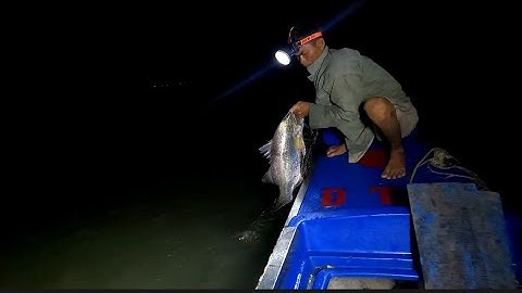 thăm lưới cá chẽm được con cá về nấu ăn cùng anh em( lê nghĩa cần giờ)