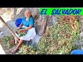 Abuelita trabajando duro en El Salvador 😢😰
