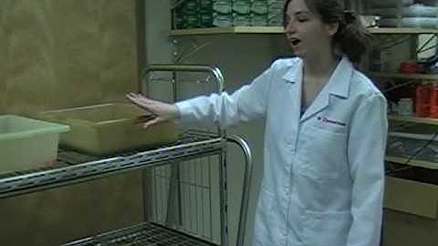 Loading the autoclave