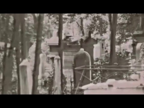 Nikos Fokas - Folly Land