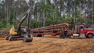 New Driveway Entrance And Loading Out Wood!