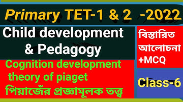 Primary TET-1 & 2||পিঁয়াজের প্রজ্ঞামূলক বিকাশের তত্ত্ব||Cognitive development theory of Piaget|| CDP