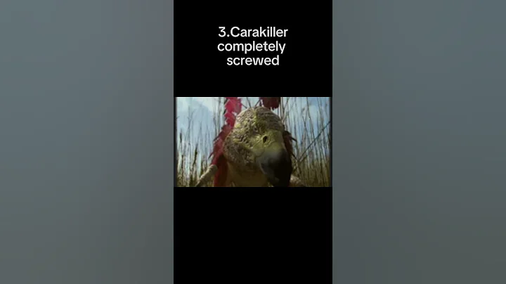 Worst animals to run into in the future is wild