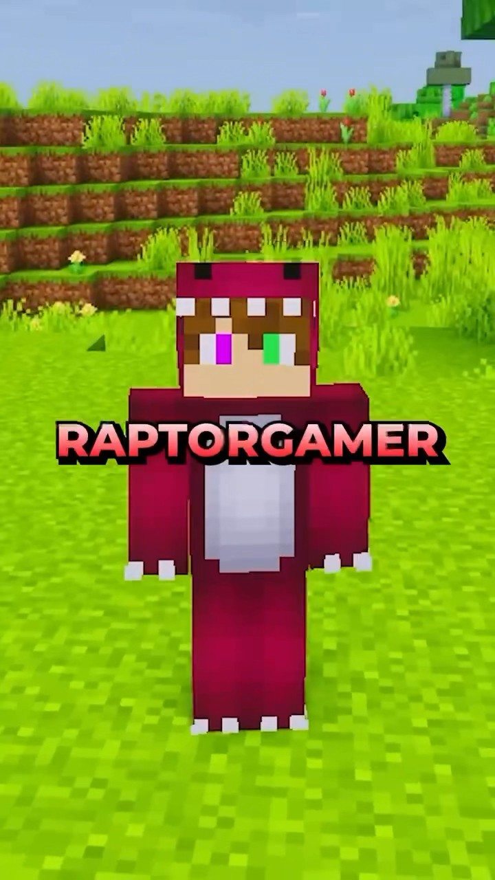 NOOB VS PRO EN MINECRAFT ??‍? #raptorgamer #minecraft