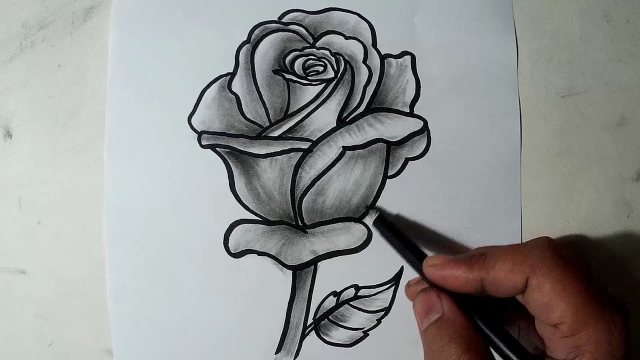 Featured image of post How To Draw A Rose With Pencil Shading - Mechanical pencil with 0.3 mm, h lead mechanical.