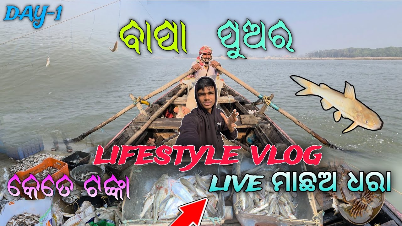 👉 ବାପ ପୁଅର ମାଛ ଧରା LIVE 🐟 | Real Fishing Lifestyle Vlog | Day-1