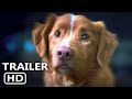 GOOD BOY Trailer (2025)
