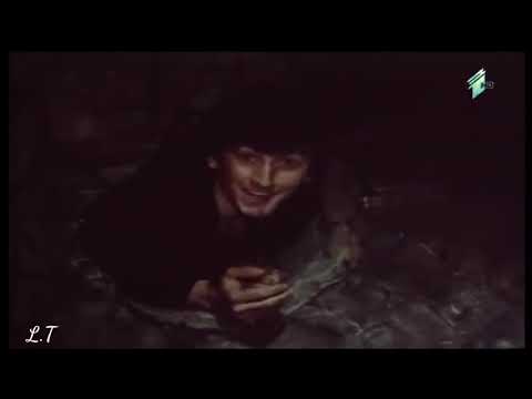 ჩვენ ვიმყოფებით ქალაქგარეთ, ტყეში !