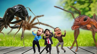 HONEY, WE SHRUNK OURSELVES | Grounded
