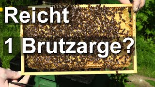 Reicht den Bienen EINE Brutzarge? Imker Chaos-Schwarmkontrolle Mitte Mai