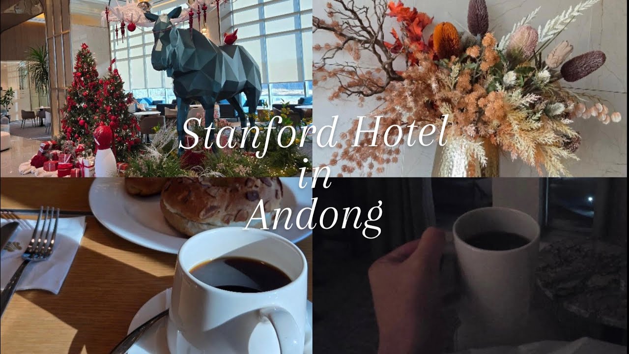 스탬포드 호텔 🏨 안동 브이로그 (찐 리얼)