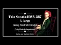 3 Largo Trio Sonata In G Minor Op 2 No 2 HWV 387 G F Handel Demo And Backing Track mp3