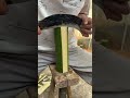 Divisão de Bambu Satisfatória e Prática