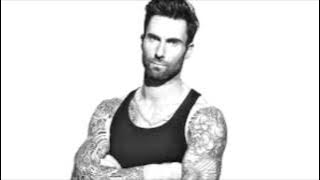 R. City (ft.Adam Levine) Locked Away (with download)