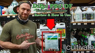 DiPel PRO DF Biological Insecticide Review and How to Apply