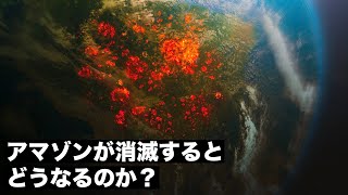 【緊急事態】アマゾンの熱帯雨林が消滅するとどうなるのか？