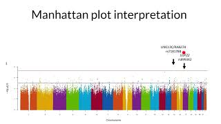 Manhattan plot interpretation