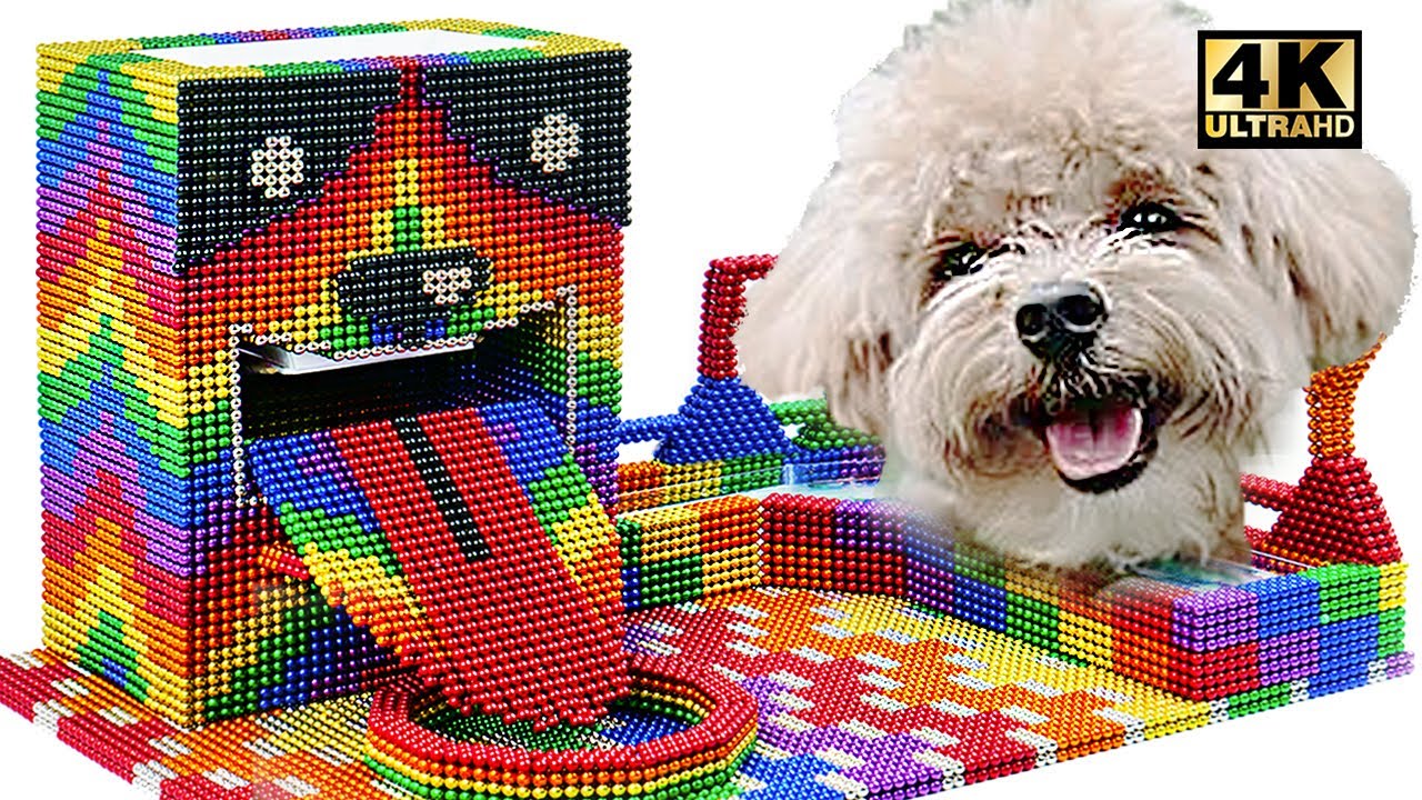 DIY Make Puppy Dog Food Dispenser At Home From Balls