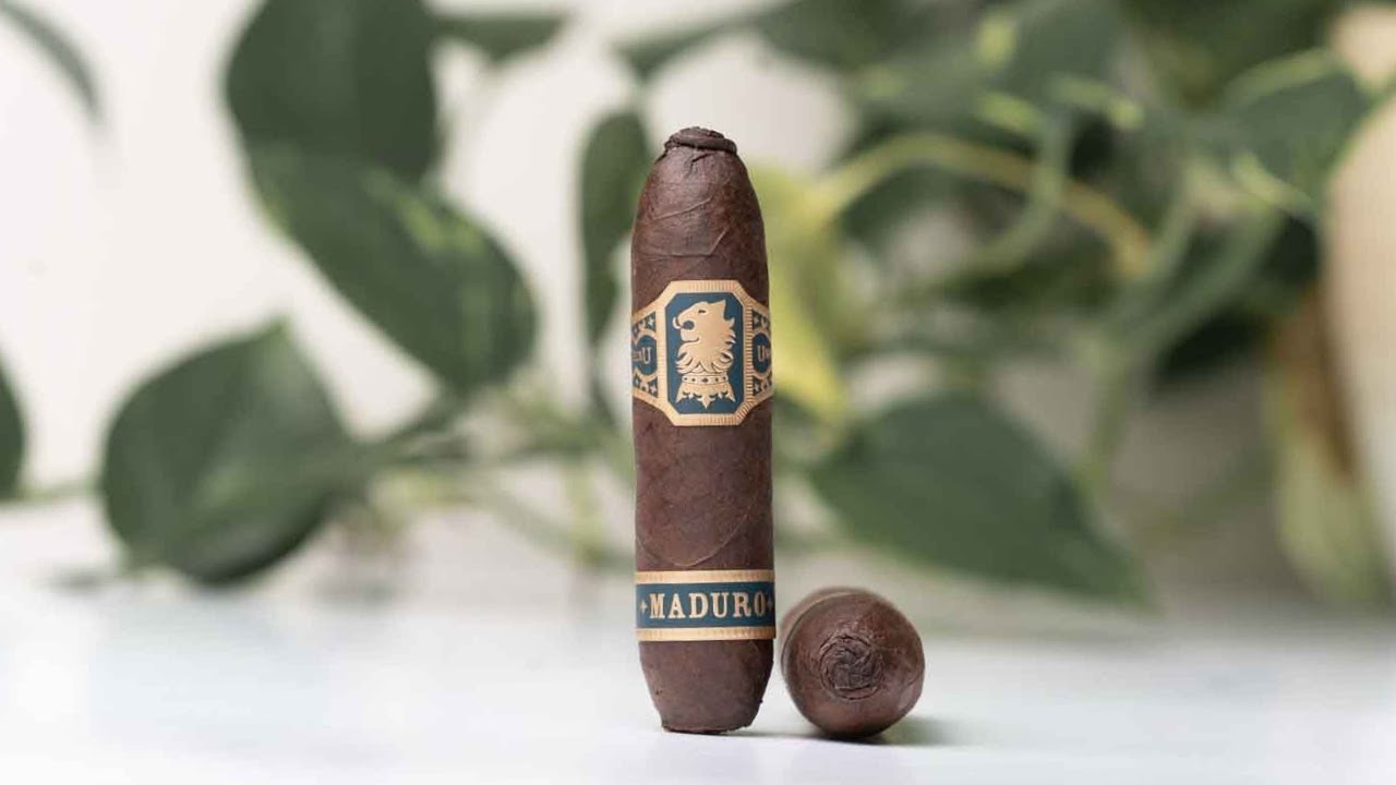 IS IT ANY GOOD? 🤨 Drew Estate Flying Pig Cigar