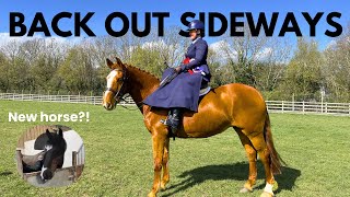 FIRST SIDE SADDLE SHOW IN 1.5 YEARS ~ AREA 12 SPRING SHOW ~ NEW HORSE REVEAL!