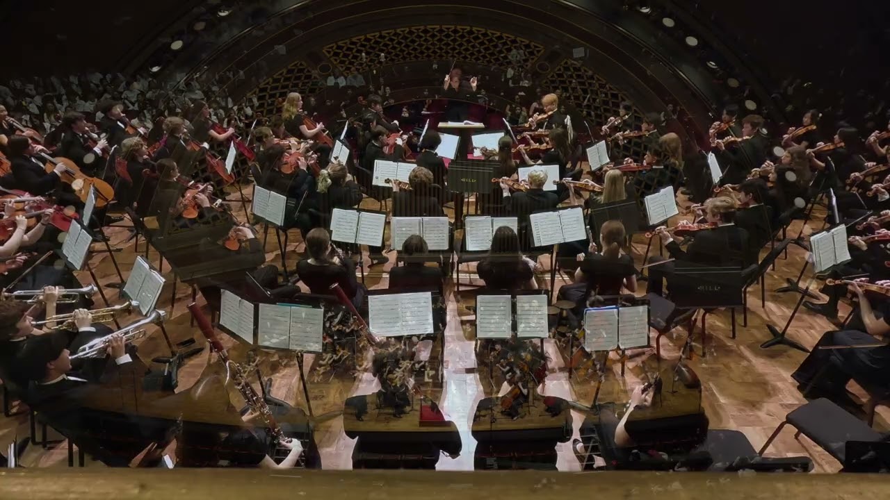 Danzón No 2, Pioneer Symphony Orchestra