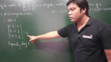 17.  Determinants - Singular & Non-Singular Matrices - Example #2